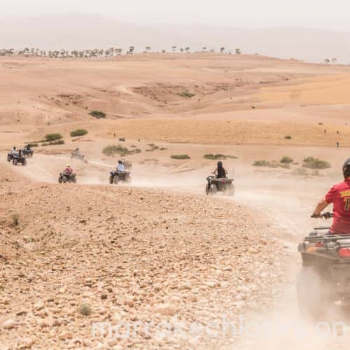 Quad Biking Tour in Agafay Desert