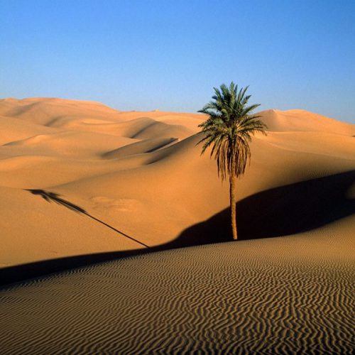 Sahara Desert Tour Erg Chigaga ( 5 Days 4 Nights)
