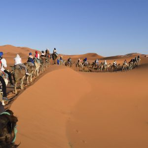 marrakech sahara desert tour