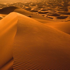 Sahara Desert tour