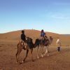 Desert tour 2 Days 1 Night to the desert of Zagora is the best choice for those who has a few days in Morocco and wants to enjoy the amazing Sahara desert of Morocco.