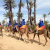 marrakech camel ride