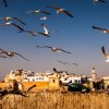 essaouira