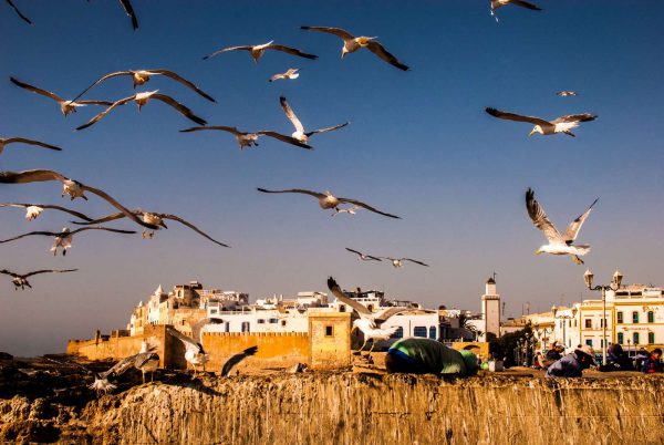 essaouira