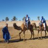 marrakech camel ride