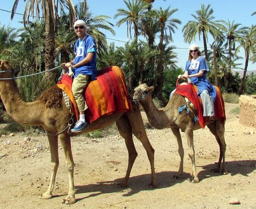Marrakech Camel Rides