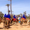 marrakech camel ride