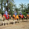 marrakech camel ride