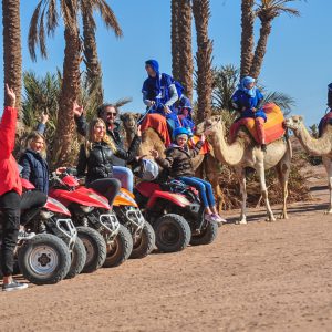 Quad Bike and Camels