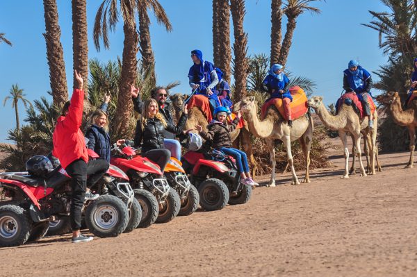 Quad Bike and Camels