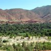 Atlas Mountains & Berber Villages Day Trip from Marrakech