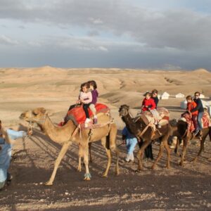 agafay desert sunset camel ride