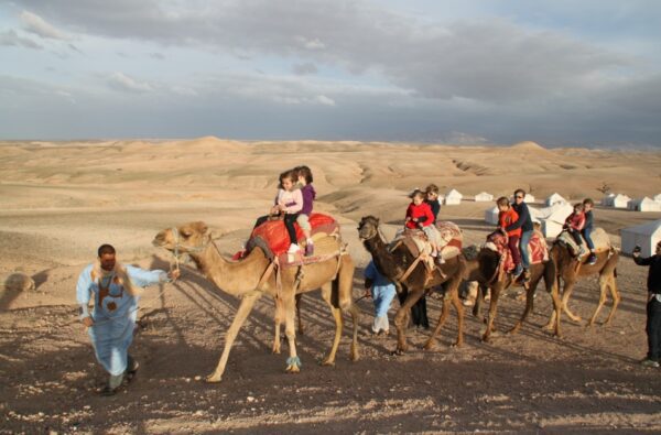 agafay desert sunset camel ride