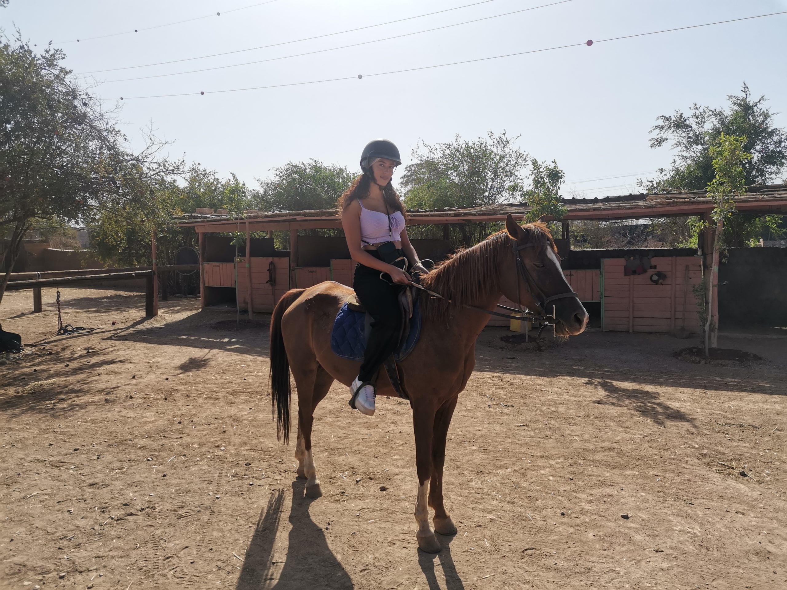 Marrakech Horse Ride
