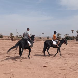 Marrakech Horse Ride