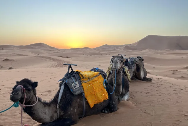 8 Days in Morocco Tour